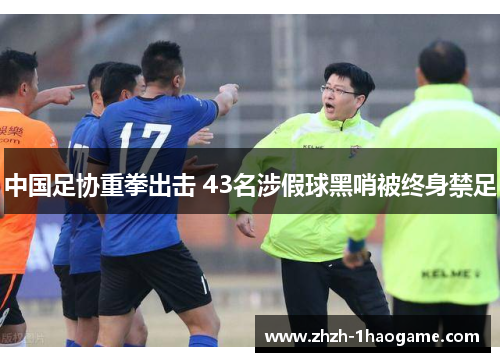 中国足协重拳出击 43名涉假球黑哨被终身禁足